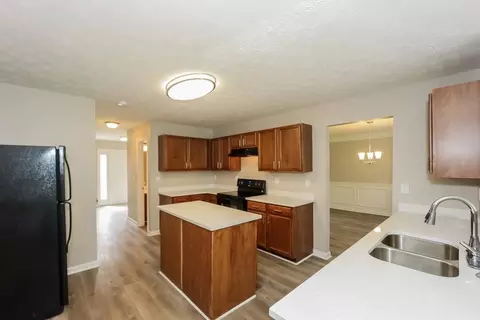 357 Cobblestone Ct, Hampton, GA 30228 photo 8