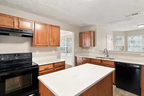 357 Cobblestone Ct, Hampton, GA 30228 photo 9