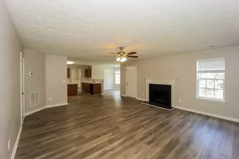 357 Cobblestone Ct, Hampton, GA 30228 photo 10
