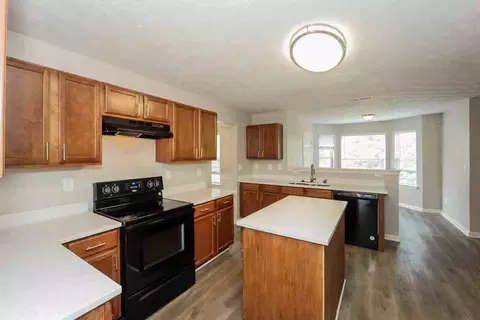 357 Cobblestone Ct, Hampton, GA 30228 photo 9