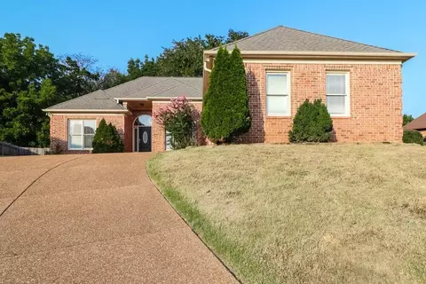 8964 Minda Path, Cordova, TN 38016