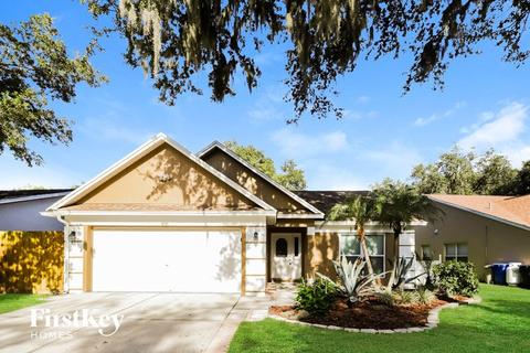4707 Rockingchair Dr, Valrico, FL 33596