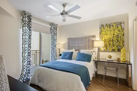 310 Granello Ave, Coral Gables, FL 33146 photo 8
