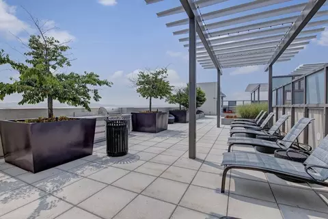 5501 45th Ave, Hyattsville, MD 20781 photo 26
