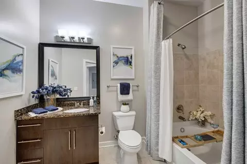 5501 45th Ave, Hyattsville, MD 20781 photo 9