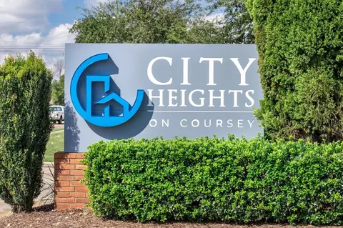 13675 Coursey Blvd, Shenandoah, LA 70817
