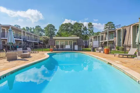 3030 N Frazier St, Conroe, TX 77303 photo 3