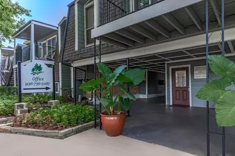 3030 N Frazier St, Conroe, TX 77303 photo 15