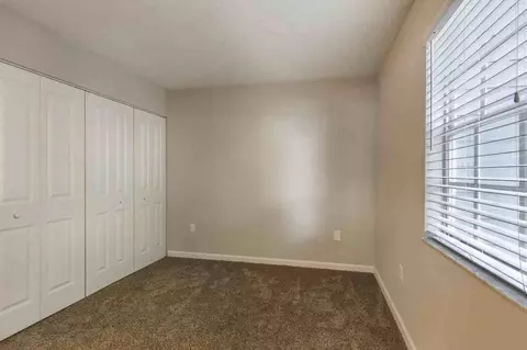 4902 N Macdill Ave, Tampa, FL 33614 photo 29