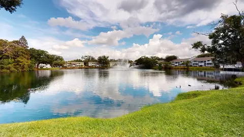 4902 N Macdill Ave, Tampa, FL 33614 photo 87