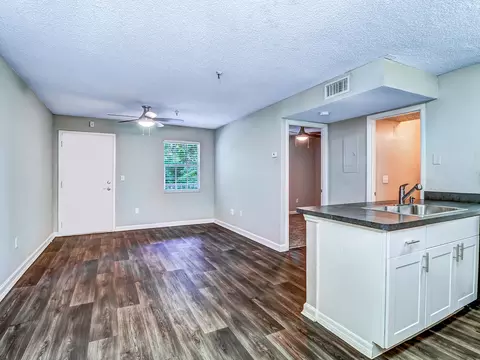 4902 N Macdill Ave, Tampa, FL 33614 photo 61