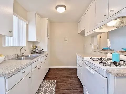245 E Lincoln Ave, Orange, CA 92865 photo 9