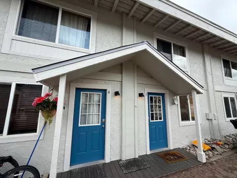 336 12 6th St, Steamboat Springs, CO 80487