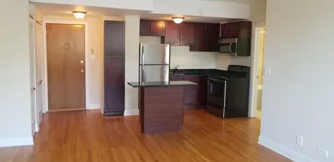 4180 N Marine Dr, Chicago, IL 60613