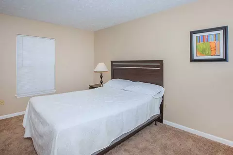 425 Warrior Dr, Murfreesboro, TN 37128 photo 12