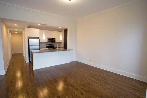 4850 S Drexel Blvd, Chicago, IL 60615 photo 40