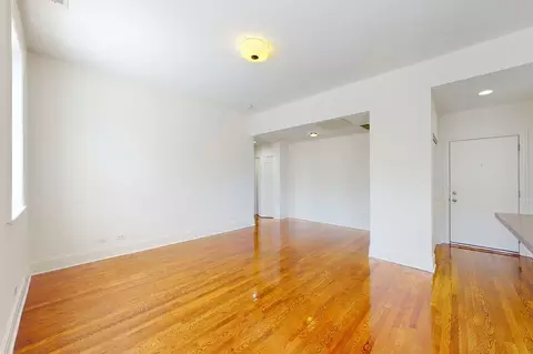 4850 S Drexel Blvd, Chicago, IL 60615 photo 34