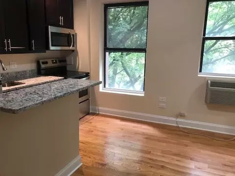 1430 N Dearborn St, Chicago, IL 60610 photo 17