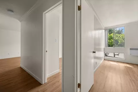 2467 Warring St, Berkeley, CA 94704 photo 3