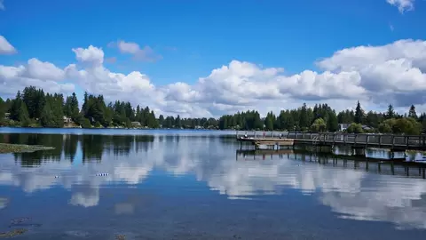 16619 Larch Way, Martha Lake, WA 98037 photo 45