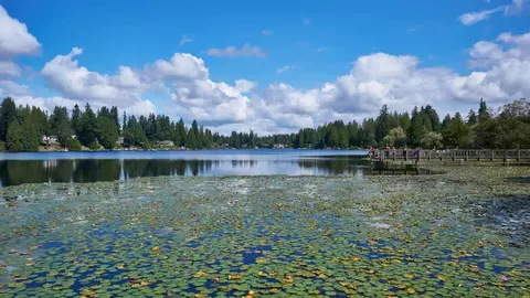 16619 Larch Way, Martha Lake, WA 98037 photo 41