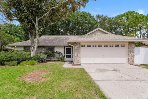 15706 Crying Wind Dr, Northdale, FL 33624