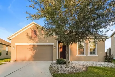 10141 Celtic Ash Dr, Ruskin, FL 33573