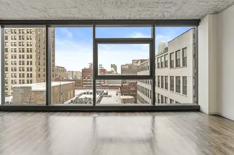717 S Clark St #4-4DUPLEX, Chicago, IL 60605