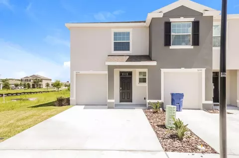32791 Pez Landing Ln, Wesley Chapel, FL 33543