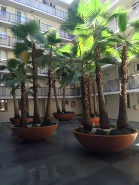 7100 Hillside Ave #305, Los Angeles, CA 90046