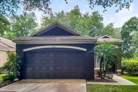 6121 Kiteridge Dr, Fish Hawk, FL 33547