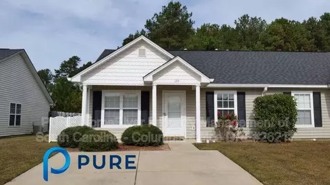 129 Palm Ct, Lexington, SC 29072