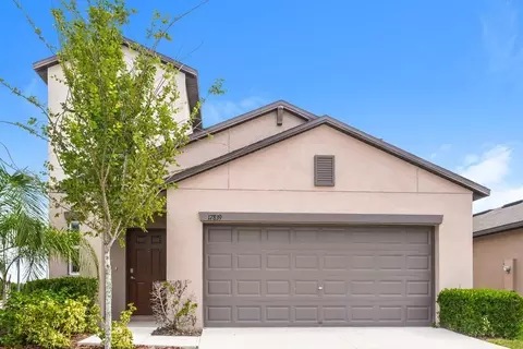 17839 Cloudless Bliss Dr, Lutz, FL 33558