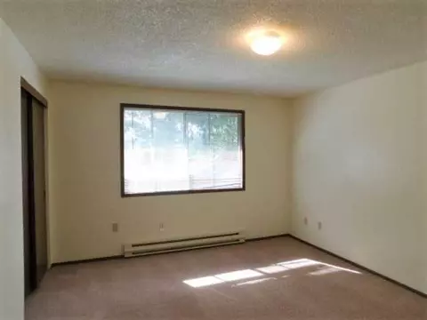 410 SE 7th Ave, Mill City, OR 97360 photo 9