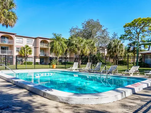11311 N 22nd St, Tampa, FL 33612 photo 35
