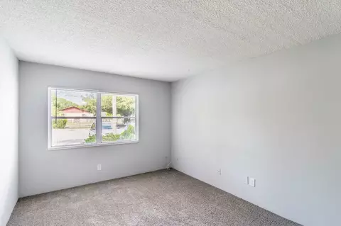 11311 N 22nd St, Tampa, FL 33612 photo 50