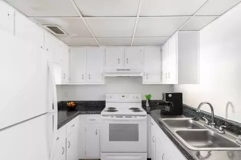 11311 N 22nd St, Tampa, FL 33612 photo 6