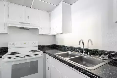 11311 N 22nd St, Tampa, FL 33612 photo 59