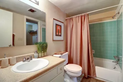 11311 N 22nd St, Tampa, FL 33612 photo 22