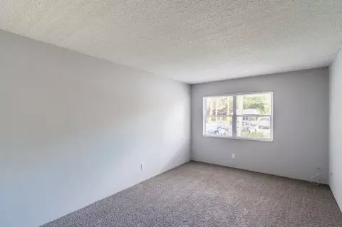 11311 N 22nd St, Tampa, FL 33612 photo 49