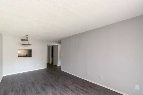 11311 N 22nd St, Tampa, FL 33612 photo 45