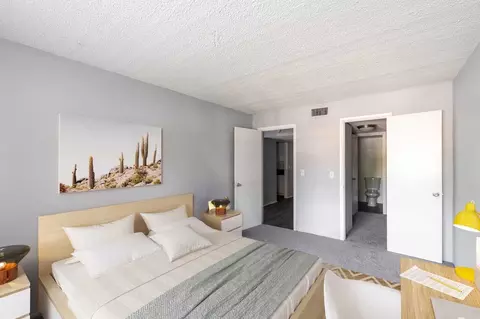 11311 N 22nd St, Tampa, FL 33612 photo 5