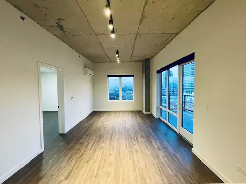 411 W Chicago Ave #2-2, Chicago, IL 60654