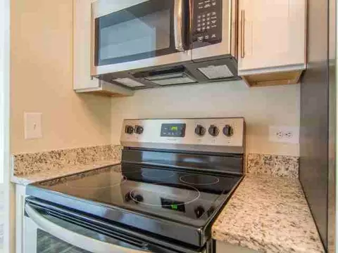 1301 Orleans St, Detroit, MI 48207 photo 12