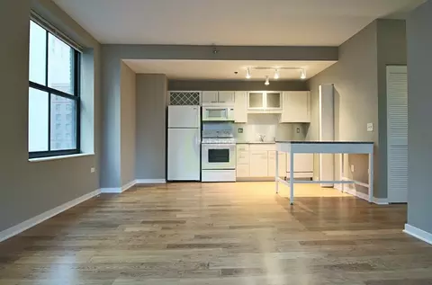 172 W Randolph St #1806, Chicago, IL 60601