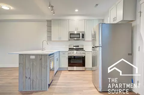 1142 W 17th St #1F, Chicago, IL 60608