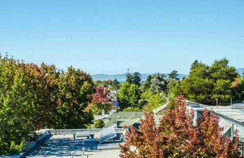 1901 Dwight Way, Berkeley, CA 94704 photo 16