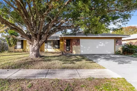 7801 Glencoe Dr, New Port Richey East, FL 34653