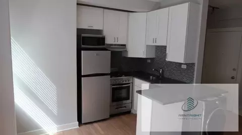 511 W Belmont Ave #4, Chicago, IL 60657