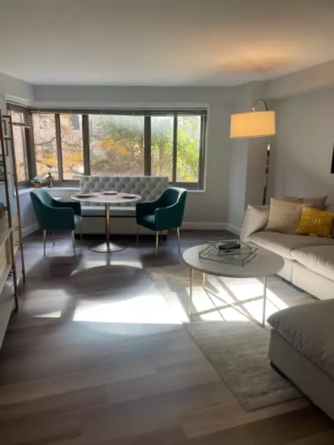 1336 N Lake Shore Dr, Chicago, IL 60610
